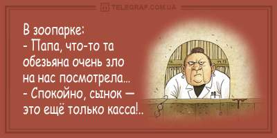 Свежие анекдоты о злых кассирах и находчивых продавцах