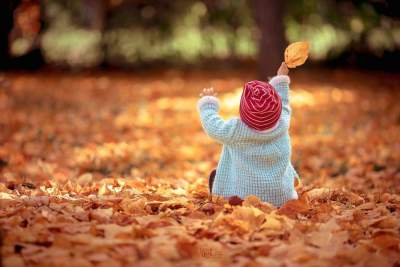 Прощание с осенью: необычные снимки со всего мира. Фото