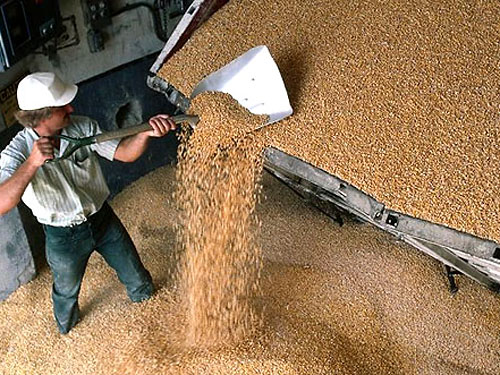 Президент потребовал отменить квоты на экспорт зерна из Украины