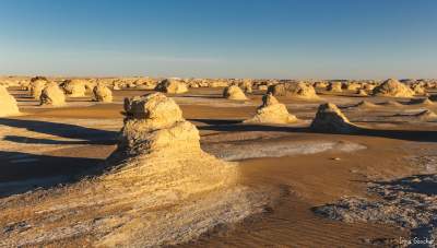 Инопланетные пейзажи египетской Белой пустыни. Фото