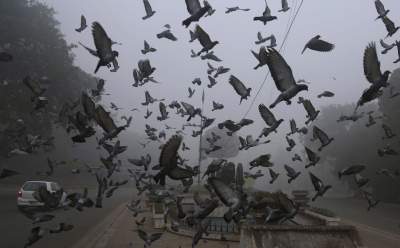 Шокирующие снимки токсичного неба над Индией. Фото
