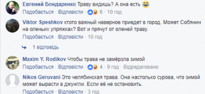 В Сети смеются над россиянами, которые косят траву под снегом