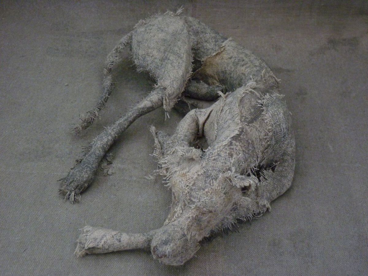 Грустные собаки из старых тряпок от Хелен Томпсон