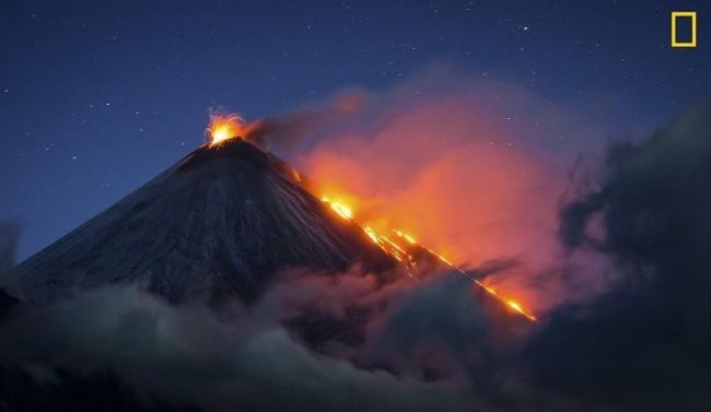 Фотоконкурс National Geographic: лучшие в мире снимки живой природы (ФОТО)