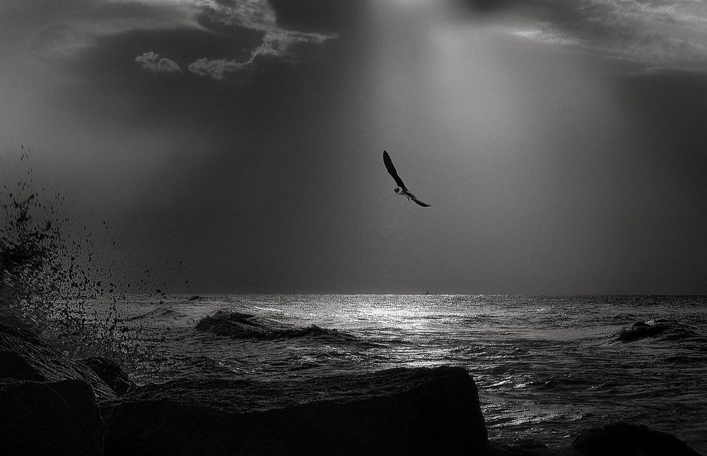 Великолепные черно-белые снимки от Энрике Пелаэс
