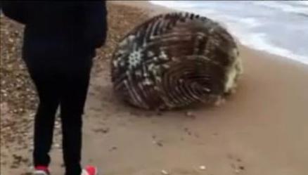 На побережье Японии нашли странный предмет, который не могут идентифицировать (видео)