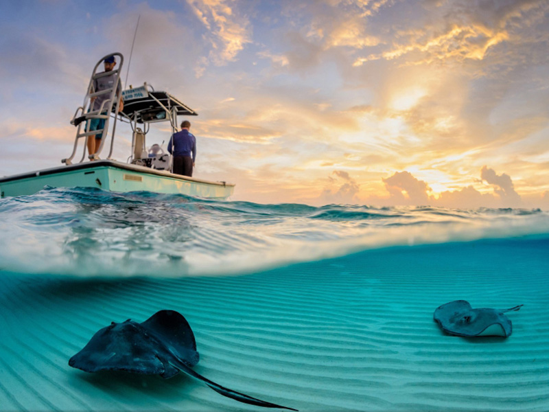 10 уникальных полуподводных фотографий