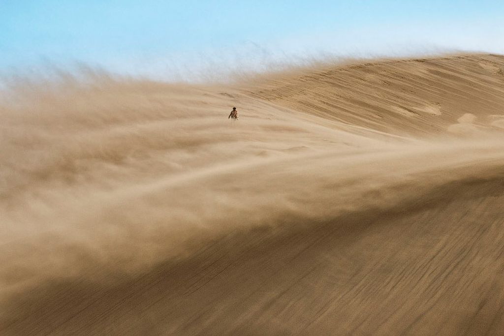 Финалисты конкурса Лучший фотограф природы — 2017 от National Geographic