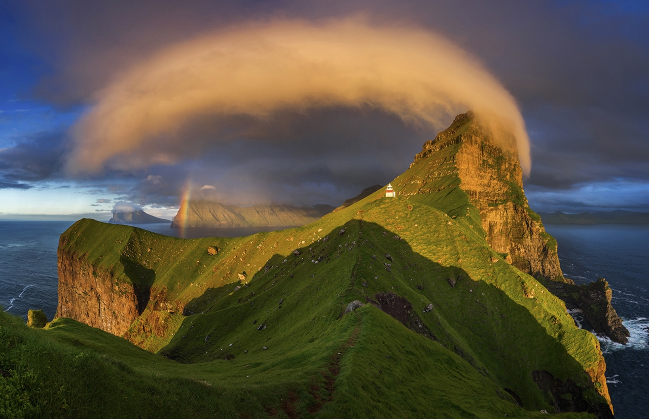 Финалисты конкурса Лучший фотограф природы — 2017 от National Geographic