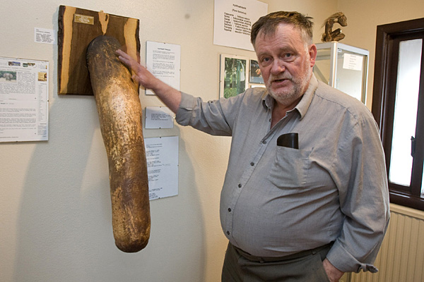 95-летний хвастун подарил свой пенис фаллологическому музею