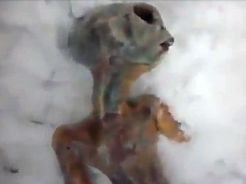 В снегу под Иркутском нашли тело пришельца 