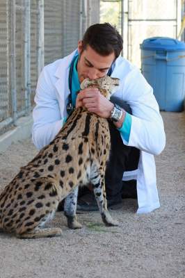 Женские сердца покорил самый привлекательный в мире ветеринар. Фото