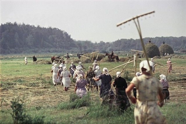 Чем жила советская страна в 1957 году