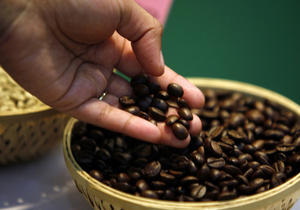 Кофе может подорожать на 40%