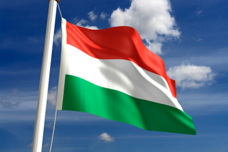 Новая венгерская конституция позволит украинцам стать венграми