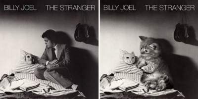 Как выглядели бы альбомы музыкантов с котиками на обложках