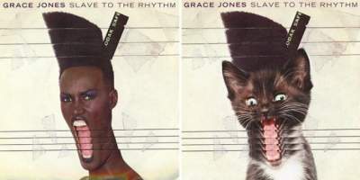 Как выглядели бы альбомы музыкантов с котиками на обложках
