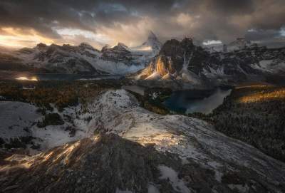 Итоги Siena International Photo Awards 2017, лучшие кадры. Фото