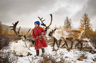 Лучшие снимки Sony World Photography Awards 2018 года. Фото