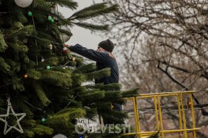 В Одессе на Дерибасовской уже нарядили елку. ФОТОРЕПОРТАЖ