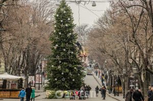 В Одессе на Дерибасовской уже нарядили елку. ФОТОРЕПОРТАЖ