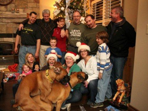 Подборка курьезных семейных рождественских снимков с животными (ФОТО)
