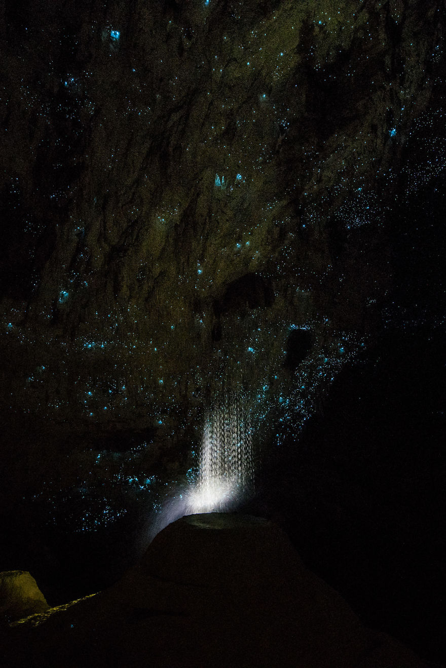 Пещеры звезд: дайвер-фотограф побывал в светящихся подземельях Новой Зеландии
