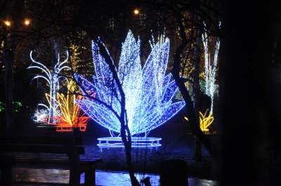 Фестиваль новогодних иллюминаций в Киеве. Фото