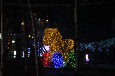 Фестиваль новогодних иллюминаций в Киеве. Фото