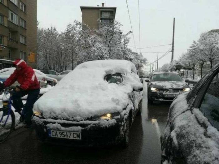 Они вывели лень на новый уровень