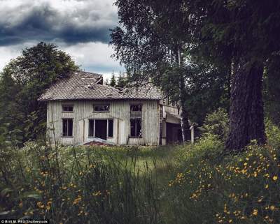 Заброшенные дома Скандинавии в необычном фотопроекте. Фото