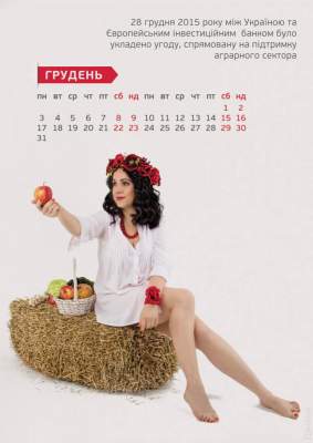 Украинцев развеселил пикантный календарь реформ