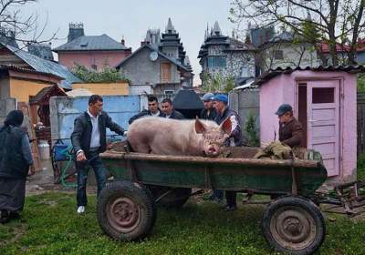 Этот город называют цыганским «Беверли-Хиллз». Фото