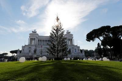 «Лысая» елка в Риме вызвала массу насмешек