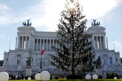 «Лысая» елка в Риме вызвала массу насмешек