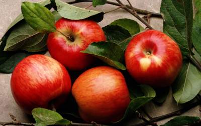 Диетологи рассказали всю правду о пользе яблок для здоровья