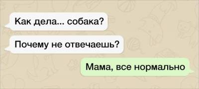 Неожиданные СМС-ки от родителей-приколистов