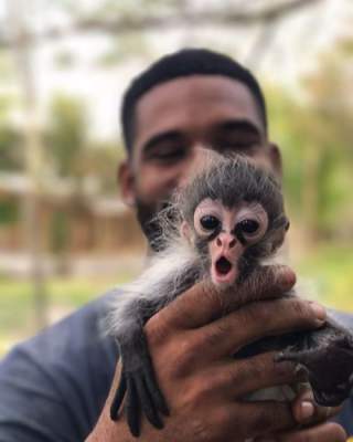Работник зоопарка покорил Instagram селфи с животными. Фото