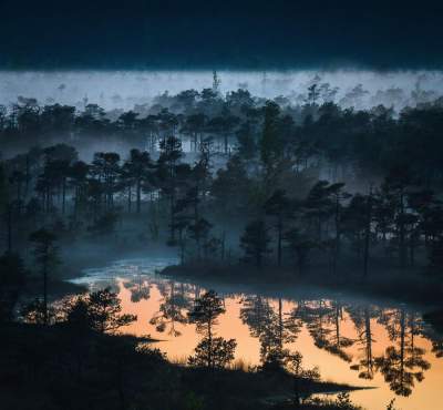 Волшебная осень: завораживающие фотографии туманного утра. Фото