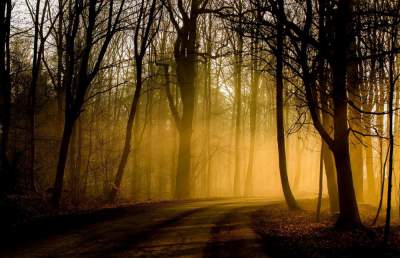 Волшебная осень: завораживающие фотографии туманного утра. Фото