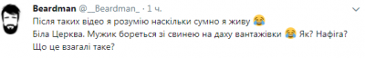 «Бойкот новогоднему столу»: под Киевом свинья залезла на крышу грузовика