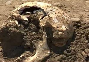 Украинские археологи сделали сенсационное открытие