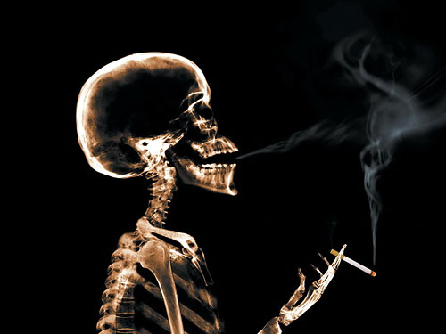 ВОЗ объявила эпидемию курения: в этом году табак убьёт 6 млн человек