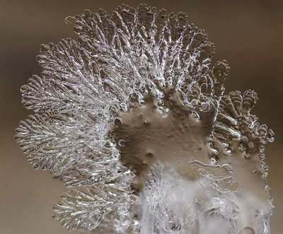 Снежинки в невероятных макроснимках. Фото
