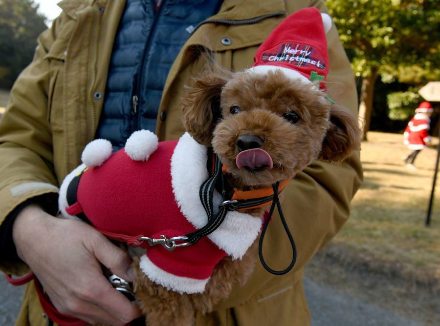 Праздничный забег Tokio Santa Run