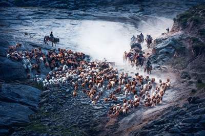 Лучшие снимки Siena International Photography Awards 2017. Фото