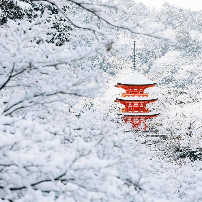 Волшебные фото заснеженного Киото