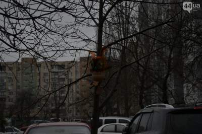Сеть насмешили странные «арт-объекты» в дворах Киева