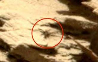 Уфологи разглядели огромного паука на Марсе