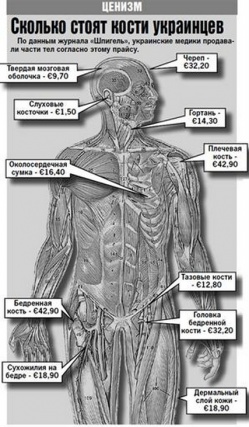 Череп украинца за рубежом стоит 32 евро, кожа — 18